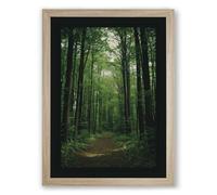 Path Through Cathedral Forest Scandinavian Framed Wall Art Print A1 (84.1×59.4cm) Oak, Wall Decor for Living Room, Bedroom, Office & Home, Ready to Hang, Art Gift
