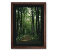 Path Through Cathedral Forest Scandinavian Framed Wall Art Print A3 (42×29.7cm) Walnut, Wall Decor for Living Room, Bedroom, Office & Home, Ready to Hang, Art Gift