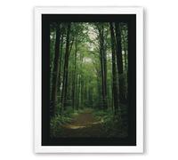 Path Through Cathedral Forest Scandinavian Framed Wall Art Print A3 (42×29.7cm) White, Wall Decor for Living Room, Bedroom, Office & Home, Ready to Hang, Art Gift