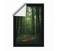 Path Through Cathedral Forest Scandinavian Unframed Wall Art Print A3 (42×29.7cm), Wall Decor for Living Room, Bedroom, Office & Home, Art Gift