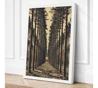 Path Through Conifers Vintage Canvas Wall Art Print 18x12 Inch (46 x 30 cm)