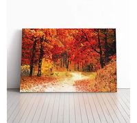 Path Through the Forest at Autumn in Abstract Canvas Print 36x24 Inch