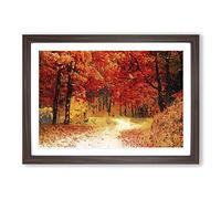 Path Through The Forest at Autumn in Abstract Framed Print | A2 Walnut Framed Wall Art | Ready to Hang | Abstract Landscape Picture | Living Room Bedroom Lounge Office