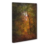 Path Through The Forest Canvas Print | Gallery Wrapped 30mm Frame Wall Art | 30x20 inches | Ready to Hang | Modern Landscape Picture | Living Room Bedroom Lounge Office
