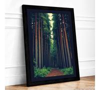 Path Through the Pines Scandinavian Framed Wall Art Print A2 (59.4×42cm) Black, Wall Decor for Living Room, Bedroom, Office & Home, Ready to Hang, Art Gift