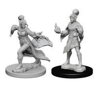 Pathfinder Battles Deep Cuts - Elf Female Sorcerer (72606)