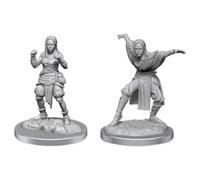 Wizkids Pathfinder Deep Cuts Unpainted Miniatures: Female Half-Elf Monks (Wave 21)