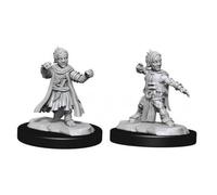 Pathfinder Battles Deep Cuts - Halfing Monk Male (90328)