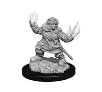 Wizkids Pathfinder Battles Deep Cuts Unpainted Miniatures (Wave 7) - Female Dwarf Summoner