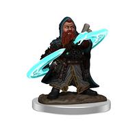 Pathfinder Battles: Premium Painted Figure - Male Dwarf Sorcerer
