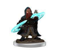Wizkids Pathfinder Battles Painted Premium: Male Dwarf Sorcerer