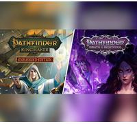 Pathfinder Collector’s Edition PC Steam CD Key