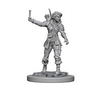 Wizkids Pathfinder Battles Deep Cuts Unpainted Miniatures (Wave 1) - Human Female Rogue
