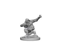 Pathfinder: Deep Cuts Unpainted Miniatures: Human Male Rogue