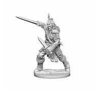 Pathfinder Deep Cuts Unpainted Miniatures (W1) - Human Male Fighter - New