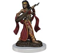 Pathfinder Painted Premium Female Human Bard