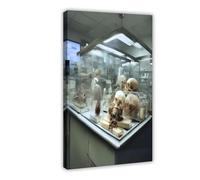 Pathology Laboratory Skull Specimen Canvas Poster Wall Art Decor Print Picture Paintings for Living Room Bedroom Decoration 12x18inch(30x45cm)