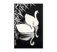 Pathos Studio OHARA KOSON - White Chinese Geese Swimming by Reeds (Gi Art Print) 5" x 7"