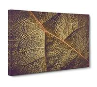 Paths of the Leaf Canvas Print | Gallery Wrapped 30mm Frame Wall Art | 30x20 inches | Ready to Hang | Modern Floral Picture | Living Room Bedroom Lounge Office