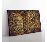 Paths Of The Leaf Modern Art Canvas Wall Art Print Ready to Hang, Framed Picture for Living Room Bedroom Home Office Décor, 60x40 cm (24x16 Inch)