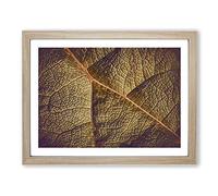 Paths Of The Leaf Modern Art Framed Print | A2 Oak Framed Wall Art | Ready to Hang | Modern Floral Picture | Living Room Bedroom Lounge Office