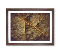 Paths Of The Leaf Modern Art Framed Print | A4 Walnut Framed Wall Art | Ready to Hang | Modern Floral Picture | Living Room Bedroom Lounge Office