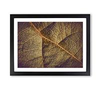 Paths Of The Leaf Modern Art Framed Wall Art Print, Ready to Hang Picture for Living Room Bedroom Home Office Décor, Black A3 (46 x 34 cm)