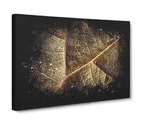 Paths Of The Leaf Paint Splash Canvas Print | Gallery Wrapped 30mm Frame Wall Art | 24x16 inches | Ready to Hang | Modern Floral Picture | Living Room Bedroom Lounge Office