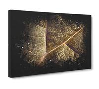 Paths of the Leaf Paint Splash Canvas Print | Gallery Wrapped 30mm Frame Wall Art | 30x20 inches | Ready to Hang | Modern Floral Picture | Living Room Bedroom Lounge Office