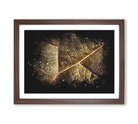 Paths Of The Leaf Paint Splash Modern Art Framed Print | A2 Walnut Framed Wall Art | Ready to Hang | Modern Floral Picture | Living Room Bedroom Lounge Office