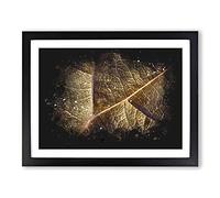 Paths Of The Leaf Paint Splash Modern Art Framed Wall Art Print, Ready to Hang Picture for Living Room Bedroom Home Office Décor, Black A2 (64 x 46 cm)