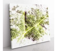 Paths of the Leaf Watercolour Modern Canvas Wall Art Print Ready to Hang, Framed Picture for Living Room Bedroom Home Office Décor, 50x50 cm (20x20 Inch)