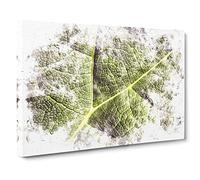 Paths Of The Leaf Watercolour Modern Canvas Wall Art Print Ready to Hang, Framed Picture for Living Room Bedroom Home Office Décor, 20x14 Inch (50x35 cm)