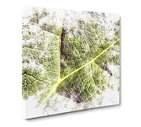 Paths of the Leaf Watercolour Modern Canvas Wall Art Print Ready to Hang, Framed Picture for Living Room Bedroom Home Office Décor, 14x14 Inch (35x35 cm)