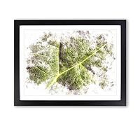 Paths Of The Leaf Watercolour Modern Framed Print | A3 Black Framed Wall Art | Ready to Hang | Modern Floral Picture | Living Room Bedroom Lounge Office