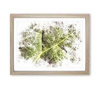 Paths Of The Leaf Watercolour Modern Framed Print | A3 Oak Framed Wall Art | Ready to Hang | Modern Floral Picture | Living Room Bedroom Lounge Office