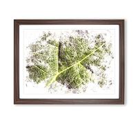 Paths Of The Leaf Watercolour Modern Framed Print | A3 Walnut Framed Wall Art | Ready to Hang | Modern Floral Picture | Living Room Bedroom Lounge Office