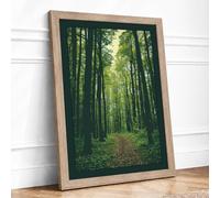 Pathway Through Woods Scandinavian Framed Wall Art Print A1 (84.1×59.4cm) Oak, Wall Decor for Living Room, Bedroom, Office & Home, Ready to Hang, Art Gift