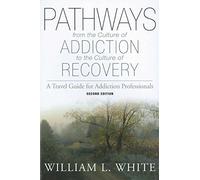 Pathways from the Culture of Addiction to the Cult: A Travel Guide for Addiction Professionals: From the Culture of Addiction to the Culture of Recovery : A Travel Guide for Addiction Professionals