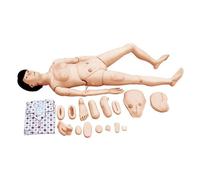 Patient Care Manikin Training 170Cm Life Size Anatomical Human Model Training Simulator With Interchangeable Genital For Medical Training Institutions, Hospitals, Emergency Services(Female)