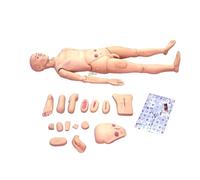 Patient Care Manikin Training 170Cm Life Size Anatomical Human Model Training Simulator With Interchangeable Genital For Medical Training Institutions, Hospitals, Emergency Services(Male)