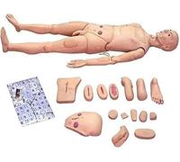 Patient Care Model CPR Simulator for Medical Nursing Training - Male and Female Interchangeable Life Size Training Aid