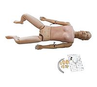 Patient Care Simulator Multi-Functional Anatomical Human Model Full Body Manikin for Patient Education and Teaching Research