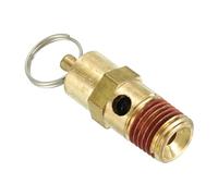 PATIKIL 1/4" Male NPT Safety Valve, Air Pressure Release Valve for Air Compressor, 125PSI Set Pressure