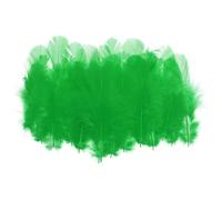 PATIKIL 1.5-3 Inch Saddle Hackle Rooster Feather, 300 Pcs Bulk Natural Feathers Fluffy Craft Feathers for Dream Catcher Earrings Pendant, Green