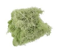 PATIKIL 1.8 OZ Fake Moss, Preserved Reindeer Moss Artificial Moss Lichen Centerpieces Decor Faux Moss for Potted Plants Christmas Craft, Lawn Green