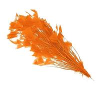 PATIKIL 10-12 Inch Turkey Feathers, 1 Set Fluffy Bulk Natural Feathers for Crafts Carnival Handwork Clothing Costumes Wedding Party, Orange