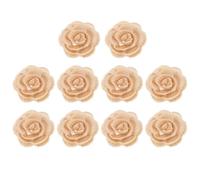 PATIKIL 10Pcs Flower Lace Embroidery Applique, 3D Embroidered Floral Sew on Patch with Organza Applique for Clothing Wedding Dress DIY Clothes Craft, Apricot