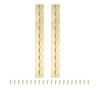 PATIKIL 10x1.2 Inch Piano Hinge,2 Pcs 304 Stainless Steel Continuous Hinge with Holes for Piano Gate Door Wooden Storage Box Cabinet Boat,Gold