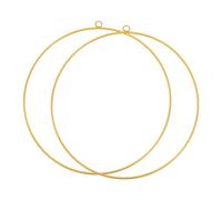 PATIKIL 12 Inch Metal Floral Hoop, 2Pcs Circle Dream Catcher Rings Supplies for Wedding Wreath Decor DIY Party Macrame Wall Hanging Craft, Gold Tone